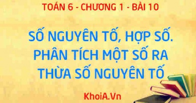 Số nguyên tố là gì? Hợp số là gì? Cách phân tích một số ra thừa số nguyên tố - Lý thuyết Toán 6 bài 10